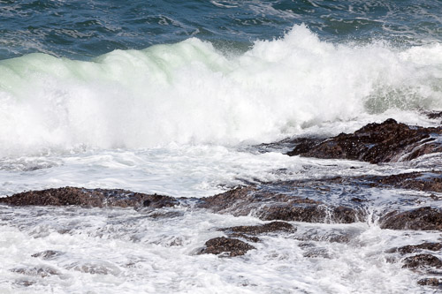 Oregon-Coast-IMG_9877.jpg Oregon-Coast-IMG_9877.jpg