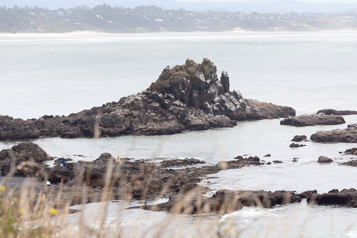 Oregon-Coast-IMG_9904.jpg Oregon-Coast-IMG_9904.jpg