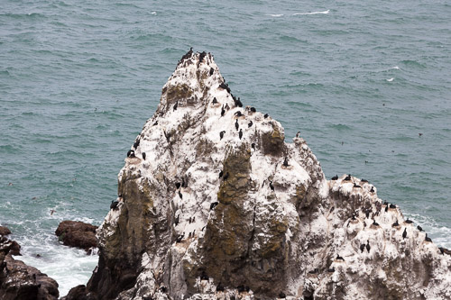 Oregon-Coast-IMG_9907.jpg Oregon-Coast-IMG_9907.jpg