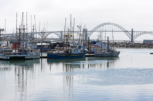 Oregon-Coast-IMG_9908.jpg Oregon-Coast-IMG_9908.jpg