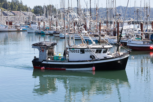 Oregon-Coast-IMG_9910.jpg Oregon-Coast-IMG_9910.jpg