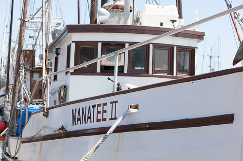 Oregon-Coast-IMG_9911.jpg Oregon-Coast-IMG_9911.jpg