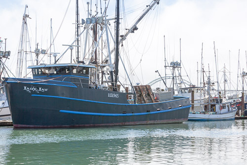 Oregon-Coast-IMG_9912.jpg Oregon-Coast-IMG_9912.jpg