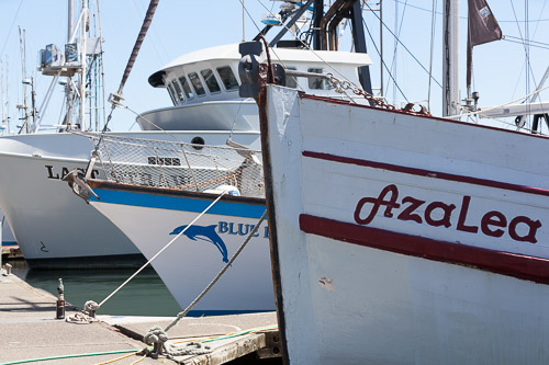 Oregon-Coast-IMG_9913.jpg Oregon-Coast-IMG_9913.jpg