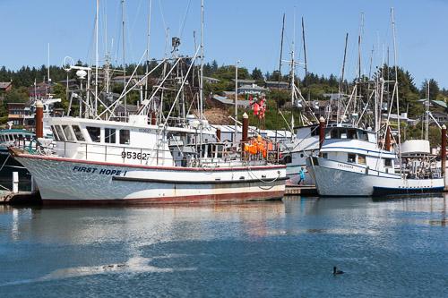 Oregon-Coast-IMG_9915.jpg Oregon-Coast-IMG_9915.jpg