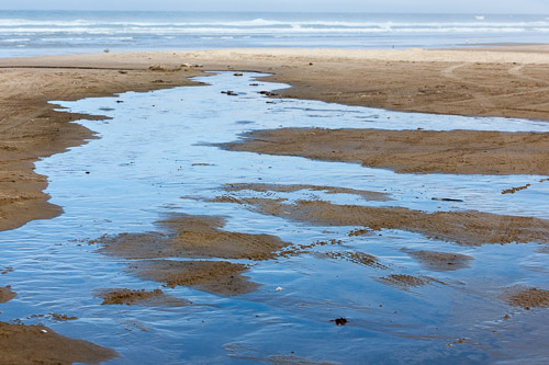 Oregon-Coast-IMG_9921.jpg Oregon-Coast-IMG_9921.jpg