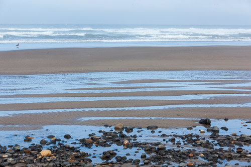 Oregon-Coast-IMG_9923.jpg Oregon-Coast-IMG_9923.jpg