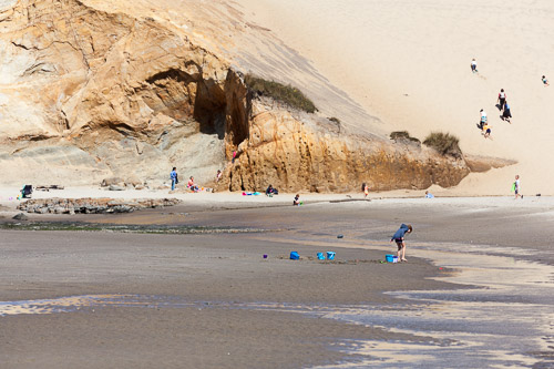 Oregon-Coast-IMG_9928.jpg Oregon-Coast-IMG_9928.jpg