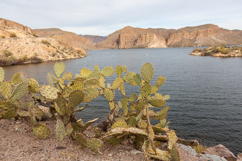 Apache-Trail-Scenic-3459.jpg Apache-Trail-Scenic-3459.jpg