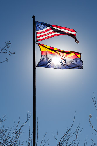 Flags in the Arizona sun Desert-Botanical-Garden-3845.jpg