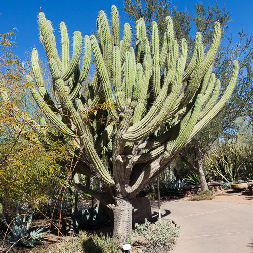 Arizona: Phoenix + Scottsdale Arizona: Phoenix + Scottsdale