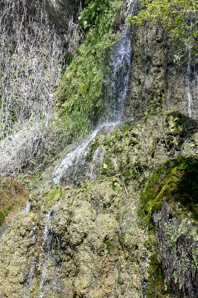 P1050091_0.00.00.00.jpg