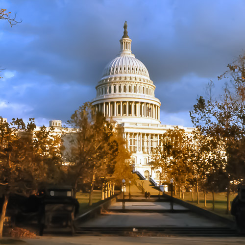 The-Nation's-Capitol.jpg