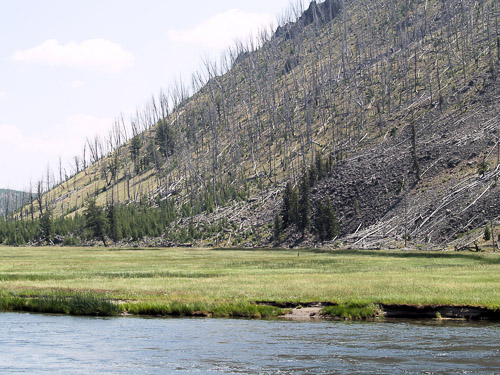 yellowstone-2008-009_2705104961_o.jpg