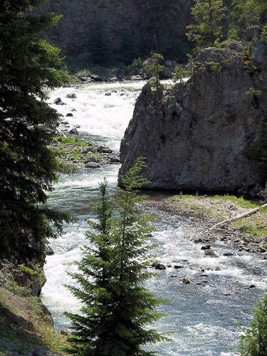 yellowstone-2008-010_2705948578_o.jpg