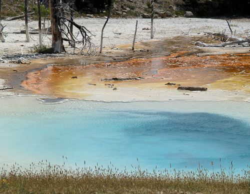 yellowstone-2008-016_2706033976_o.jpg