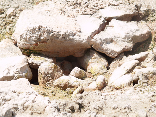 yellowstone-2008-018_2706045620_o.jpg yellowstone-2008-018_2706045620_o.jpg