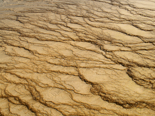 yellowstone-2008-054_2713346082_o.jpg yellowstone-2008-054_2713346082_o.jpg
